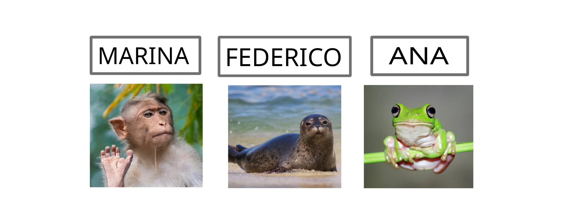 ENCIERRA LETRAS