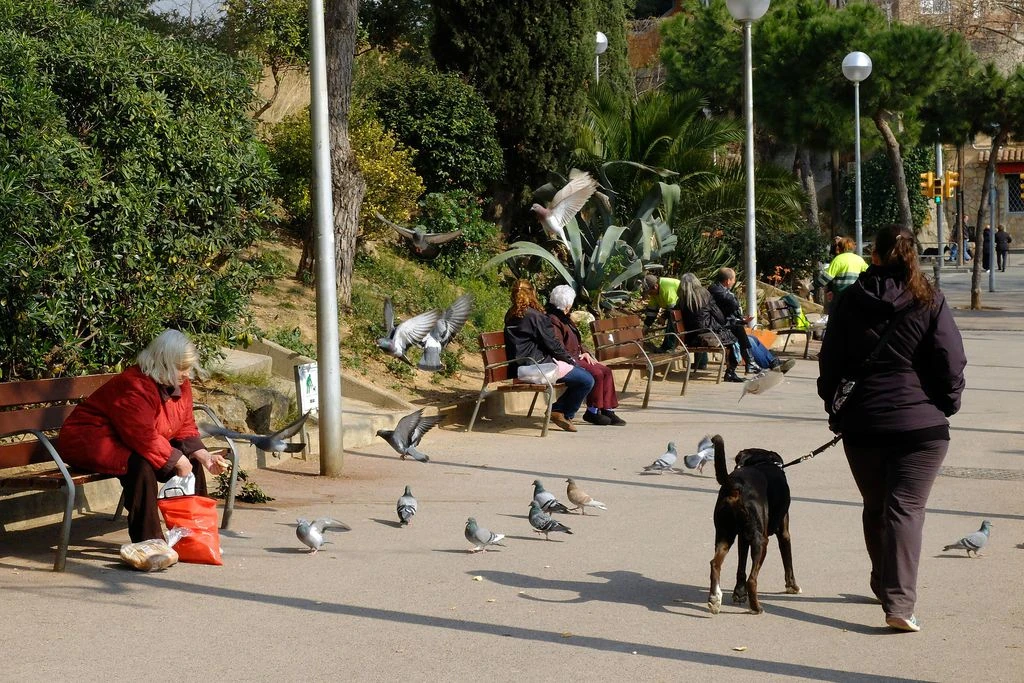 seres vivos en la plaza