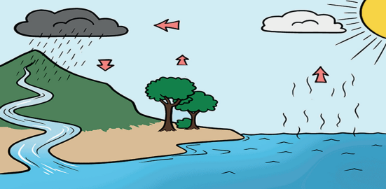 el ciclo del agua en la naturaleza