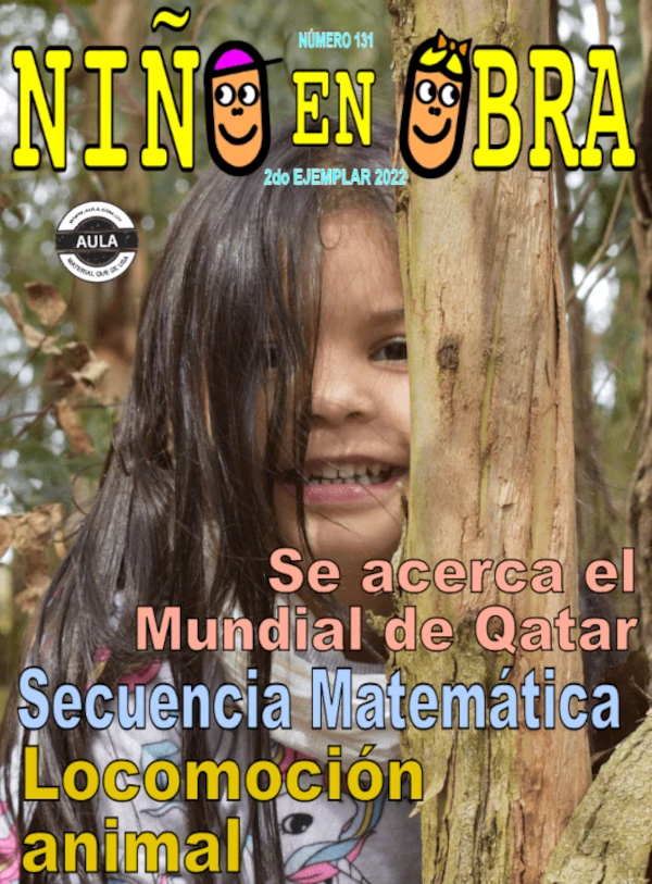 tapa de revista Niño en Obra para Nivel Inicial