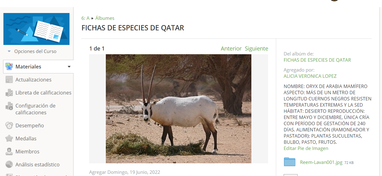 2022 06 19 19 31 26 FICHAS DE ESPECIES DE QATAR Schoology