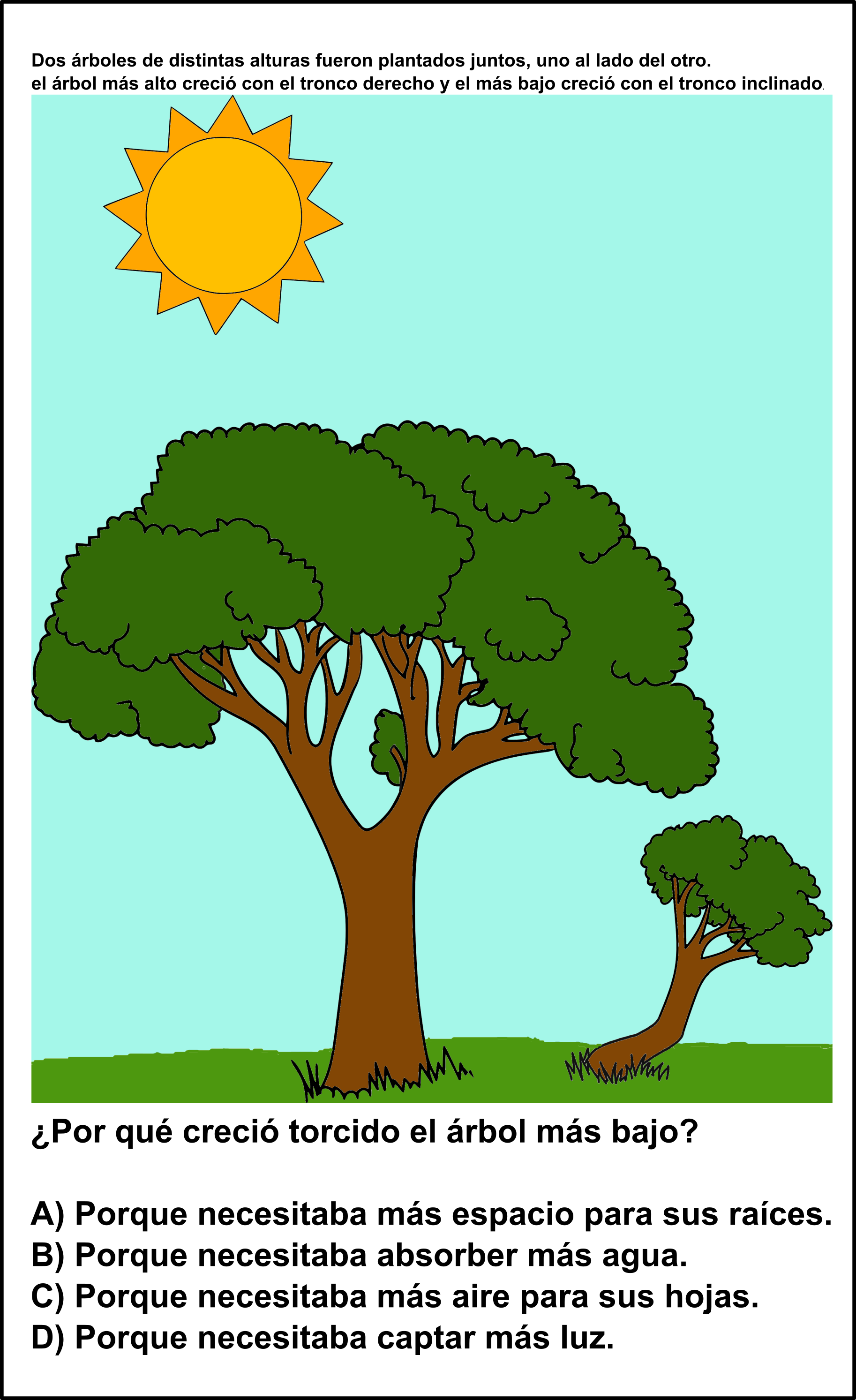 arboles creciendo juntos 