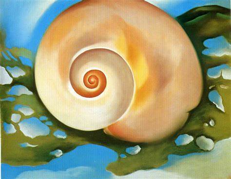 Georgia O Keefe caracol1