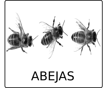 CUADROABEJASR.png
