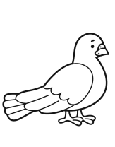 RPaloma.png