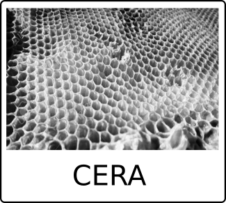 cartaCERAR.png