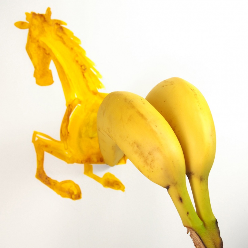 imagen_de_Cristoph_Nieman_3.jpg