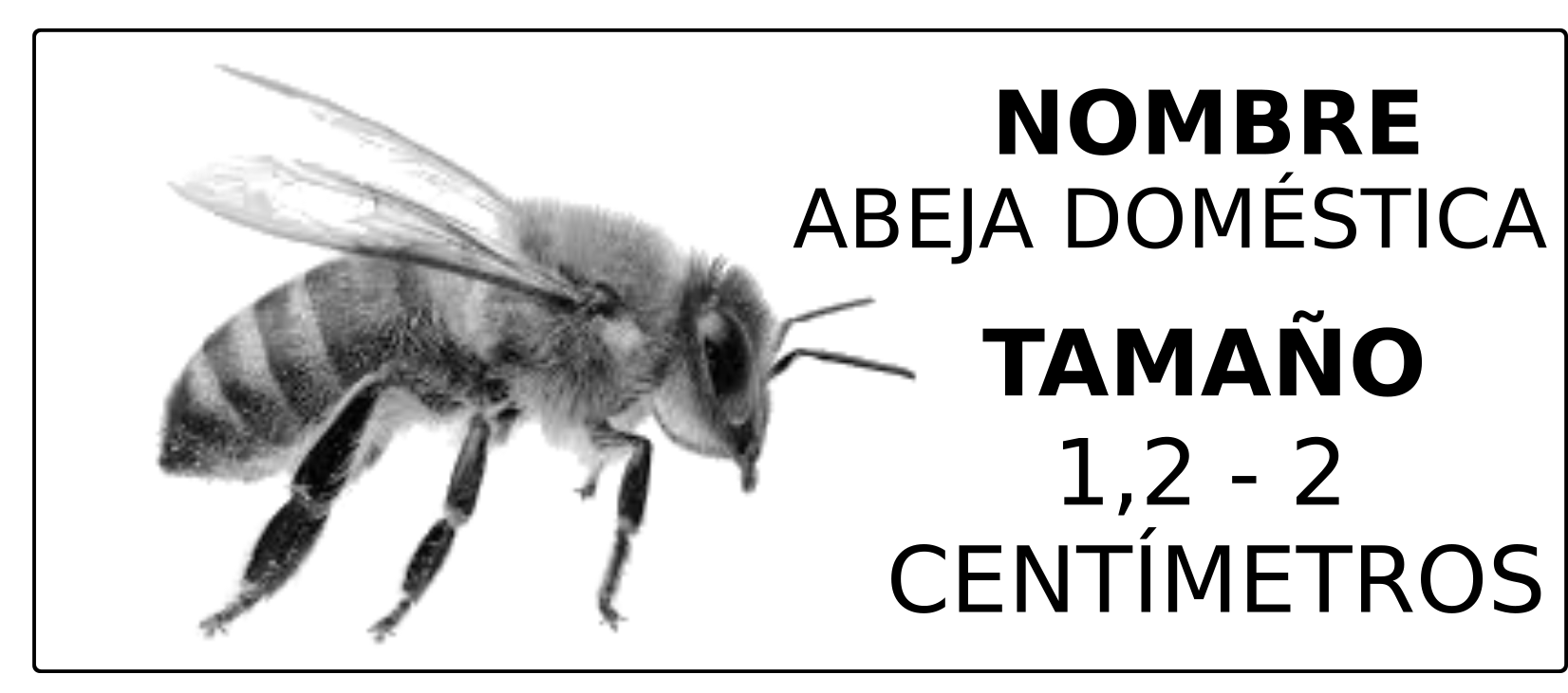 tablaR.png