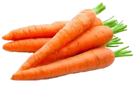 zanahoria.png