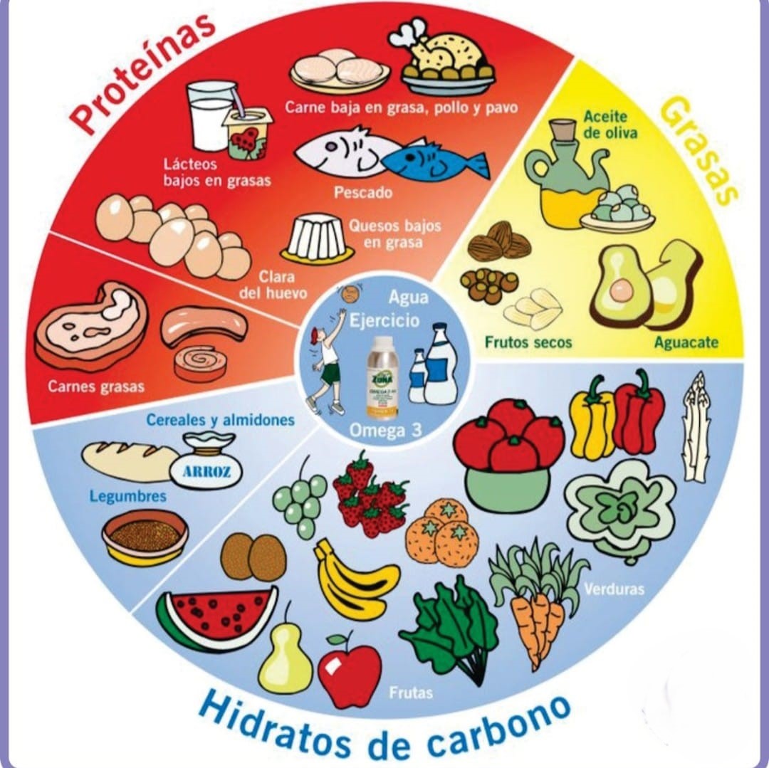 Segunda_instancia_de_retroalimentación.jpg