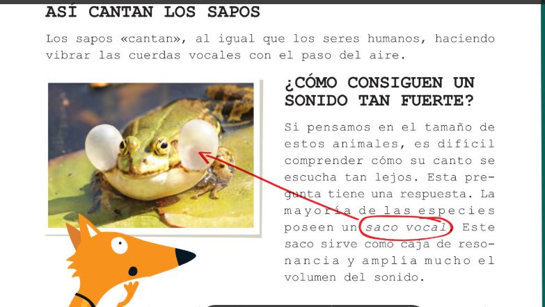 sapos 2