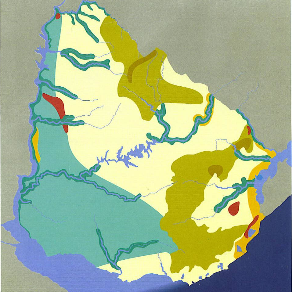 MAPA_biomas_sin_referencias.png