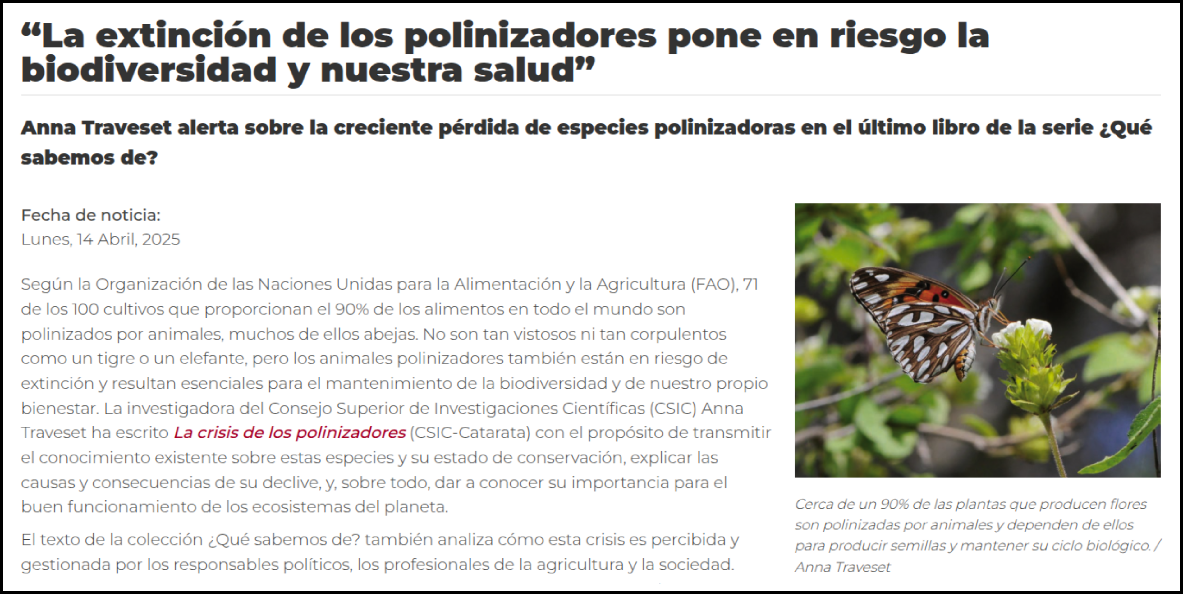 Extinción sobre polinizadores