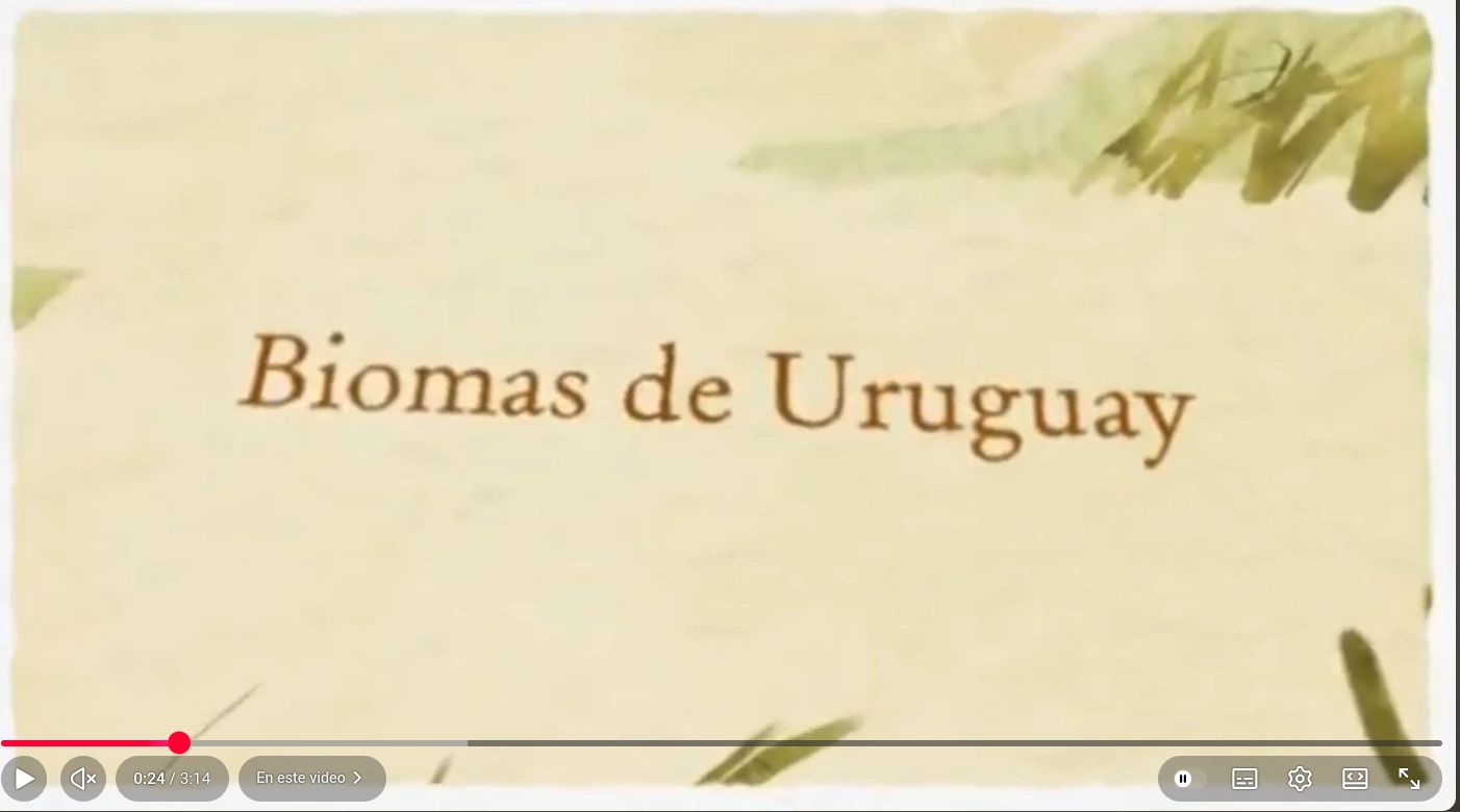 enlace a video biomas del Uruguay