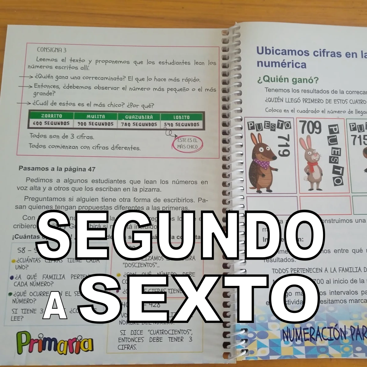 revistas para maestras de escuela primaria